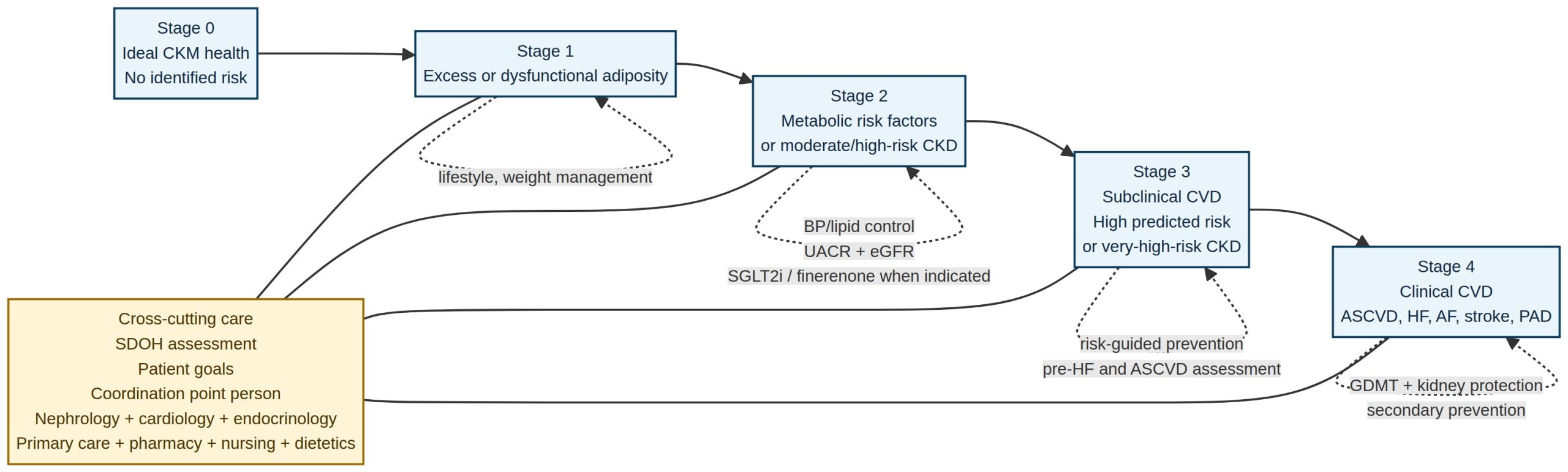 Five-stage cardiovascular-kidney-metabolic continuum