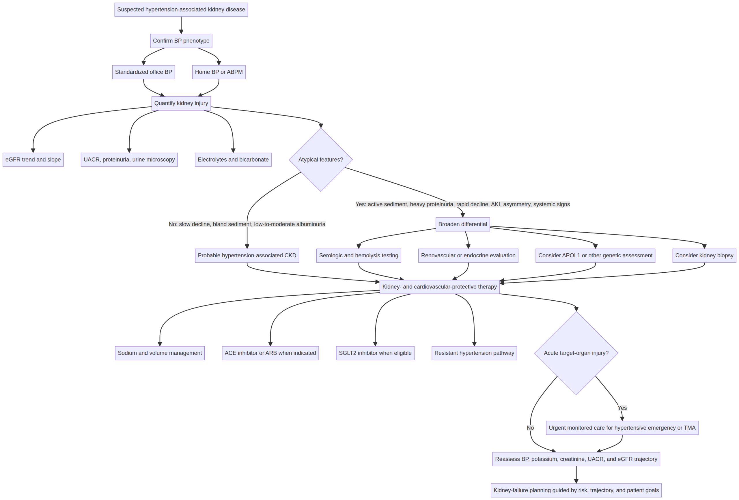 Diagnostic and treatment pathway for suspected hypertension-associated kidney disease