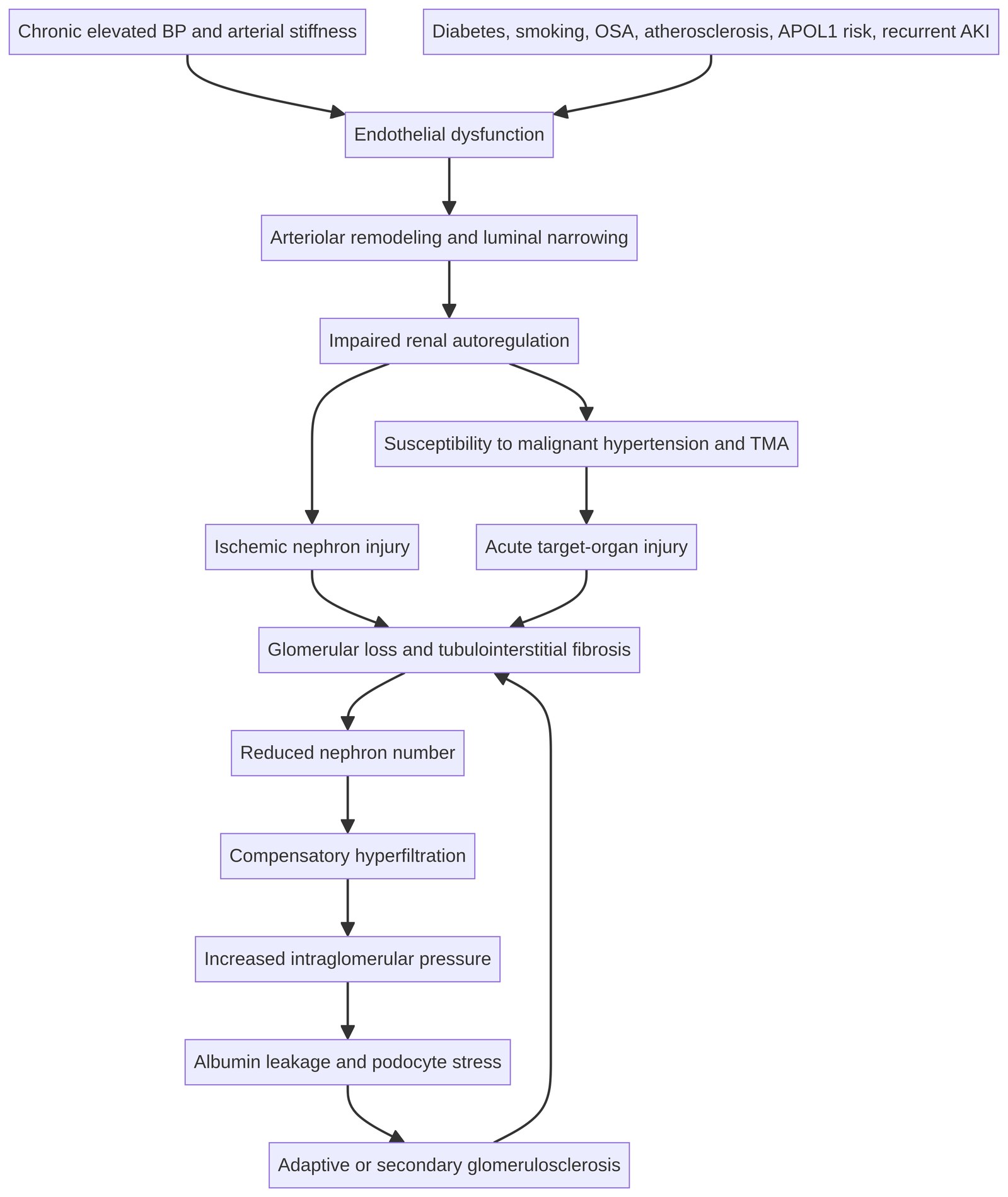 Pathophysiologic cycle linking chronic hypertension to arteriolar remodeling, ischemic nephron injury, hyperfiltration, albumin leakage, glomerulosclerosis, and progressive CKD