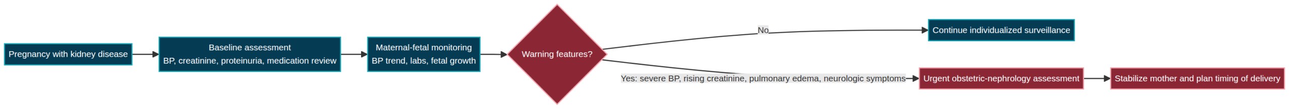 Clinical workflow diagram for Pregnancy and Kidney Disease