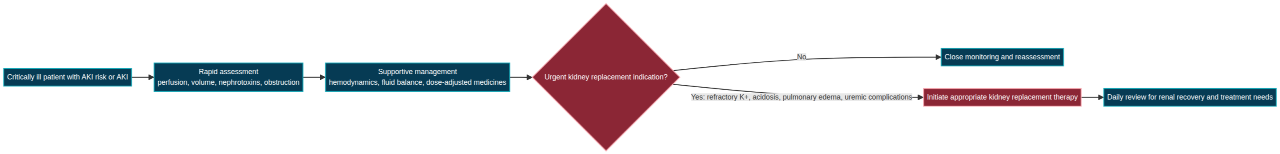 Clinical workflow diagram for Nephrology in Critical Care