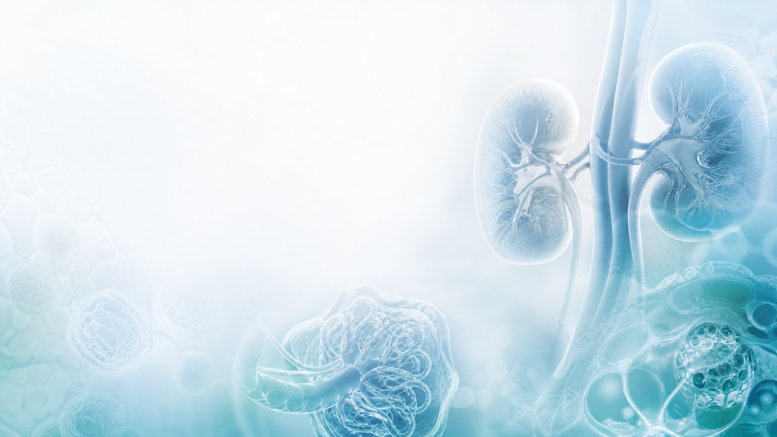 Kidney Hub nephrology chapter background